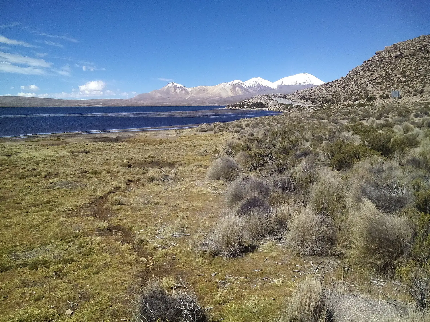 Lago Chungará - Acotango