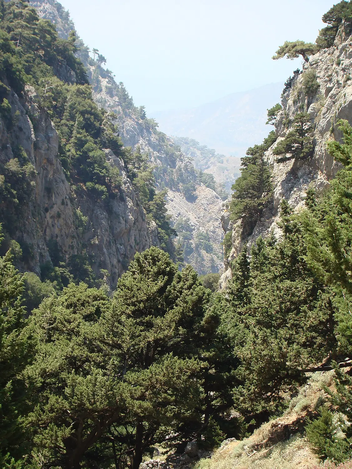 Saint Irene gorge Crete a