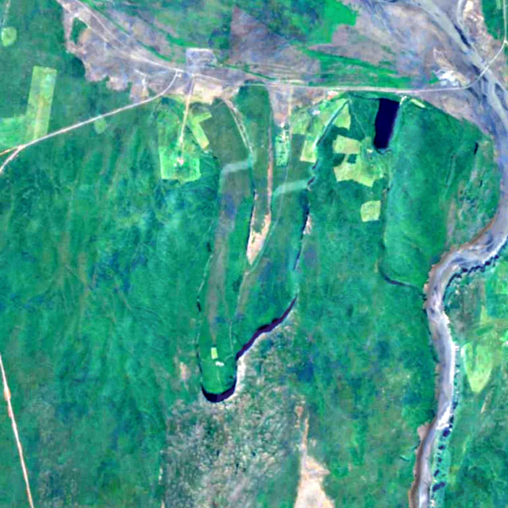 Ásbyrgi seen from above (Sentinel-2)