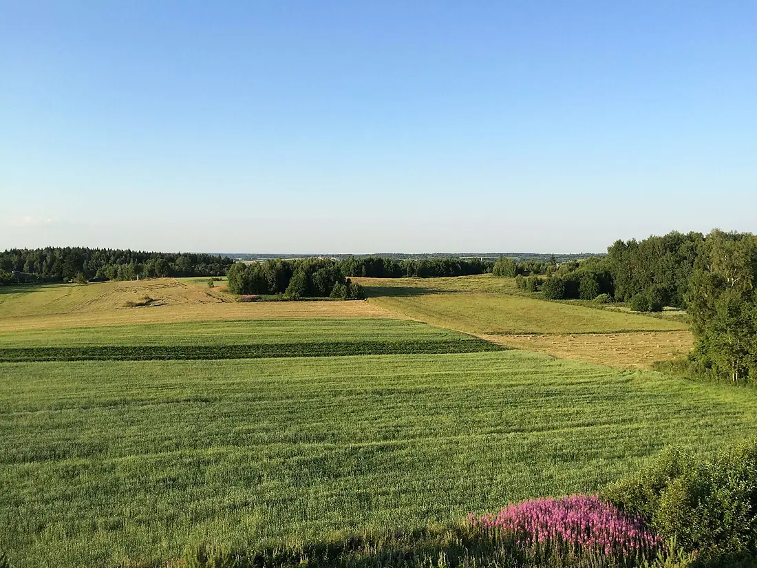Aukštojo kalnas - panoramio (2)