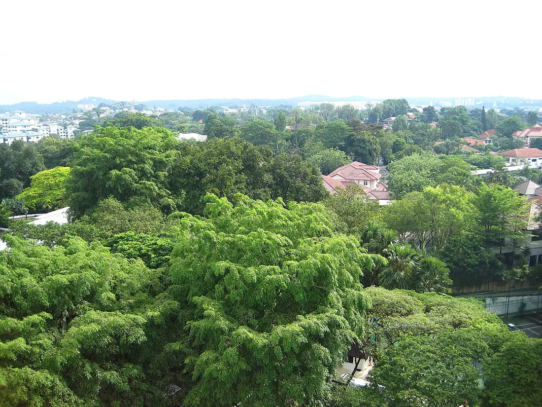 2012-05-16 Bukit Timah 01