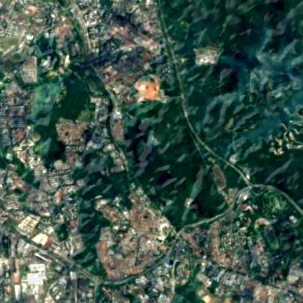 Bukit Timah seen from above (Sentinel-2)