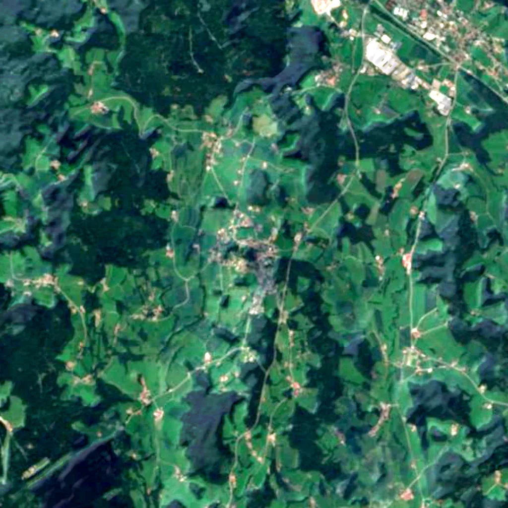 Burg Kollnburg seen from above (Sentinel-2)