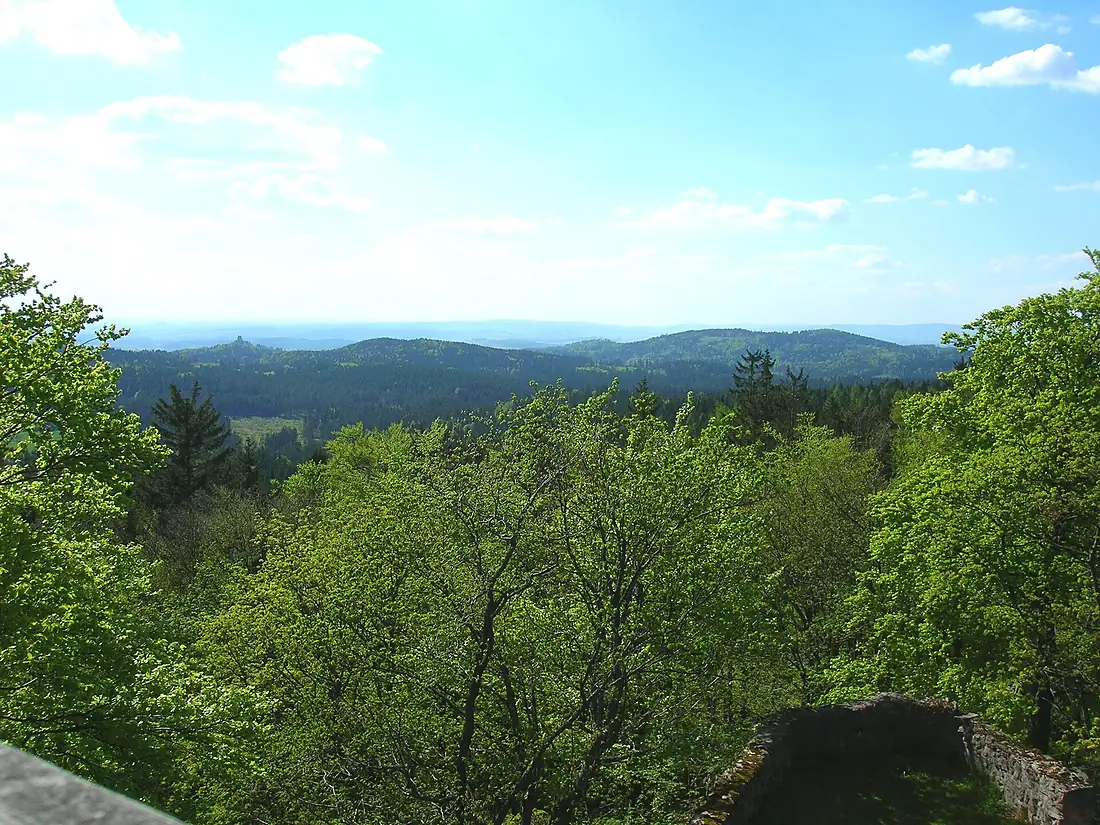 Burgruine-Schellenberg2