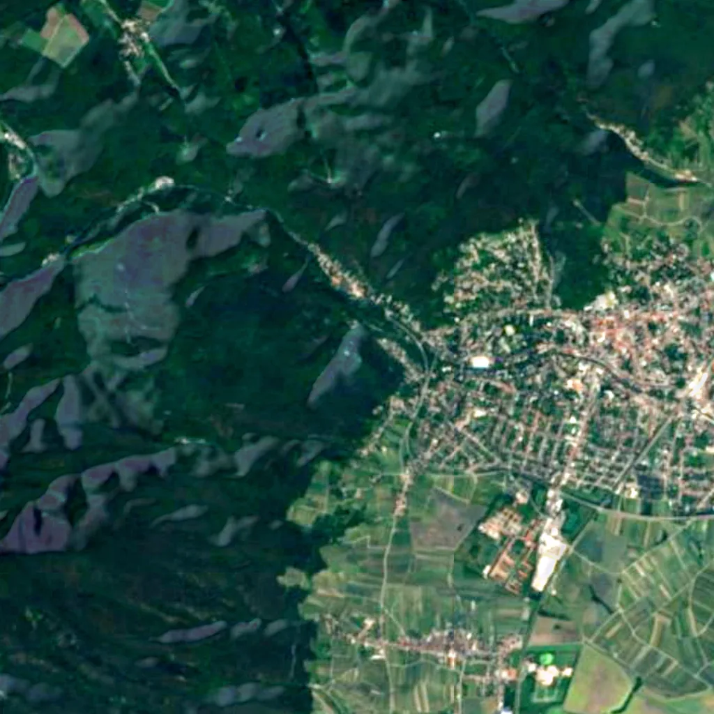 Castle ruins of Rauheneck seen from above (Sentinel-2)