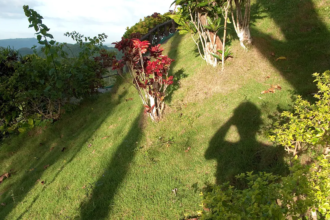 Bohol Hills, Walk, Philippines
