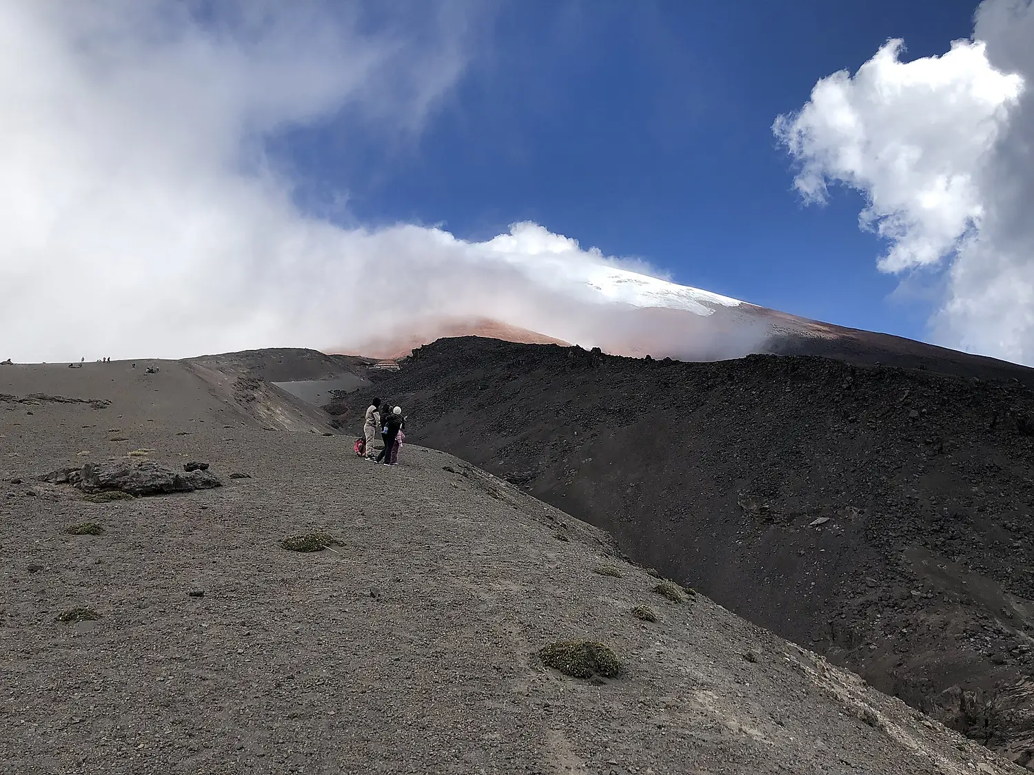 Cotopaxi Páramo