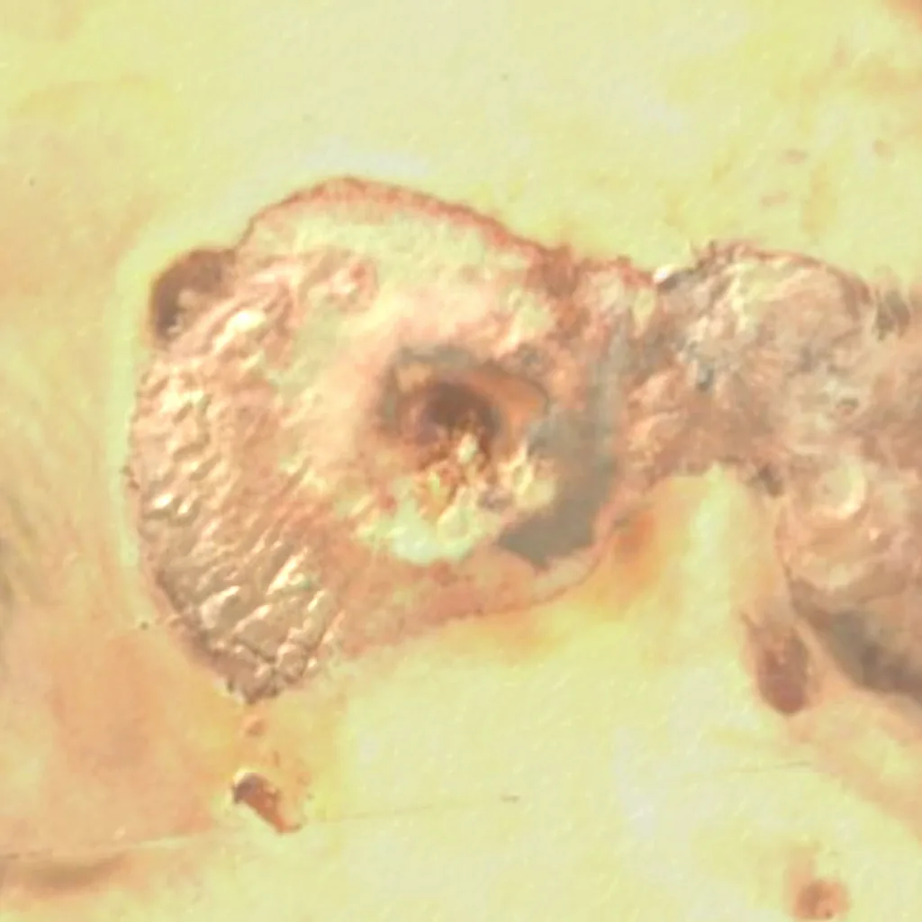 Dallol seen from above (Sentinel-2)