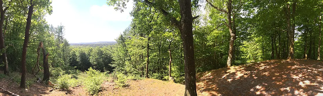 Panorama from the scenic viewpoint Dronningestolen in Silkeborg