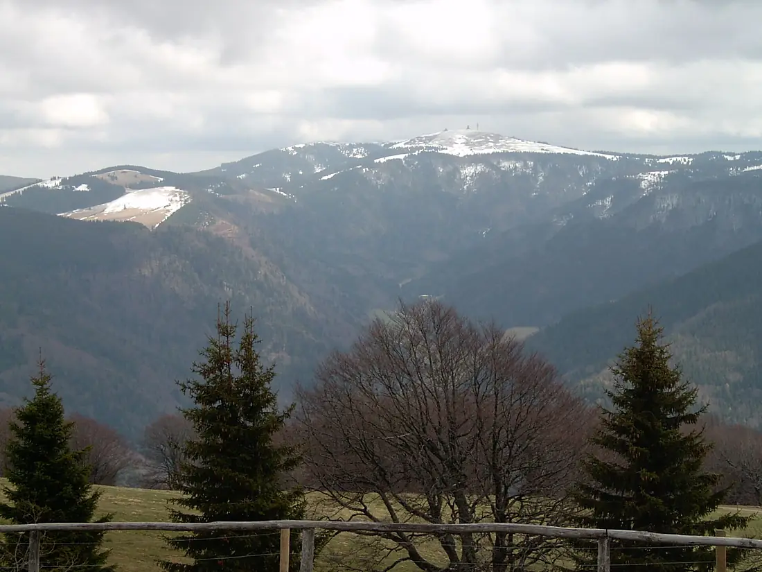 Feldberg