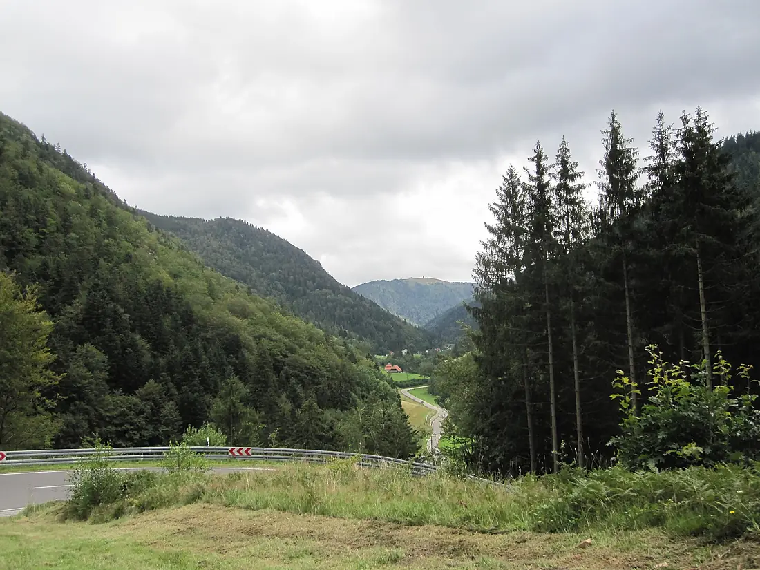St.Wilhelm bei oberried blick auf feldberg