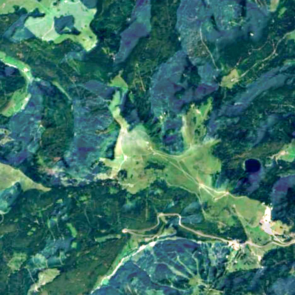 Feldberg seen from above (Sentinel-2)