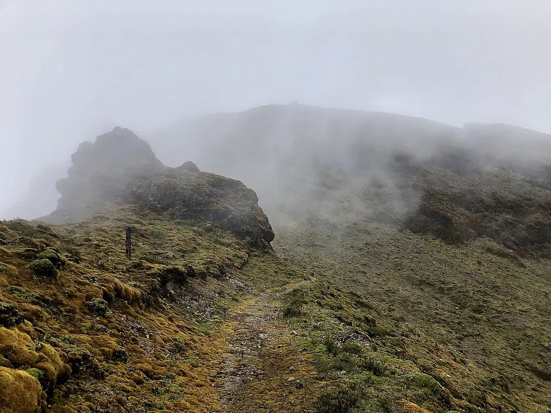 Volcán Galeras (20)