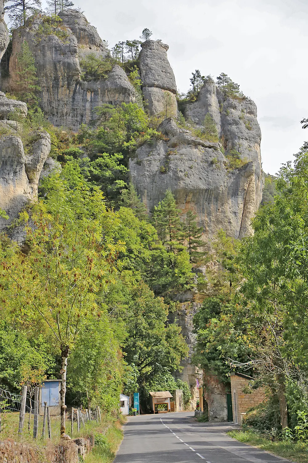 00 0449 Saint-Georges-de-Lévéjac - Gorges du Tarn