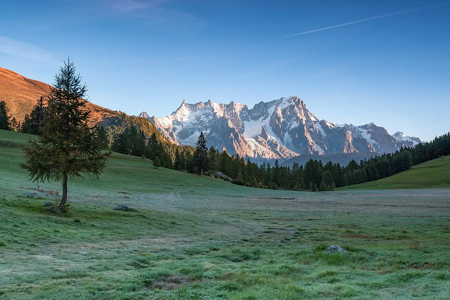 Dente del Gigante e Grandes Jorasses da Petosan
