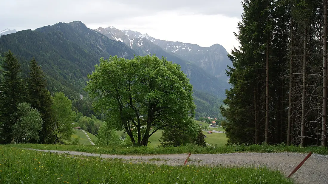 Gnalp-Schwarzhorn-Grauspitz-Falknishorn-02ASD