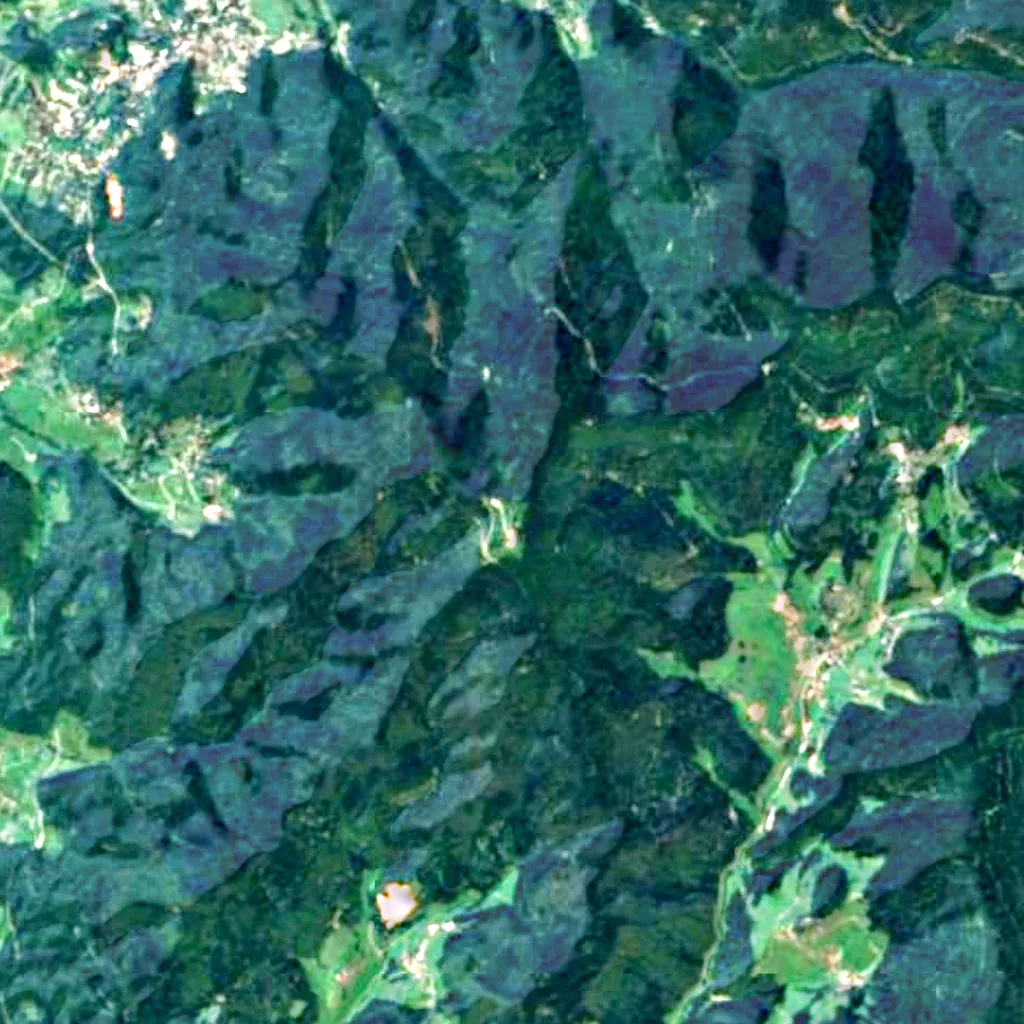 Hochblauen Observation Tower seen from above (Sentinel-2)