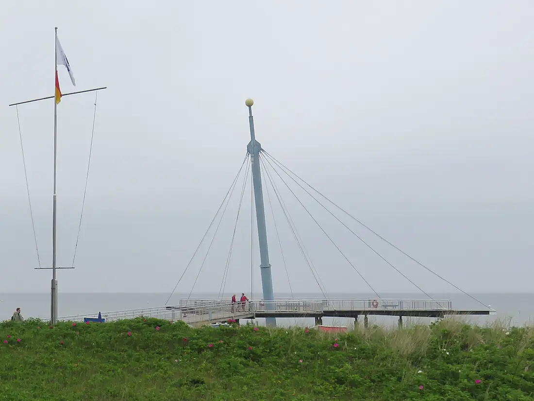 Hohwachter Flunder (cropped)