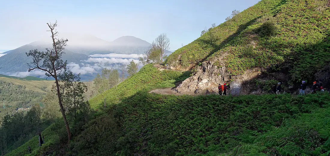 Trail from Kawah Ijen, East Java, Indonesia, 20220821 0641 9775