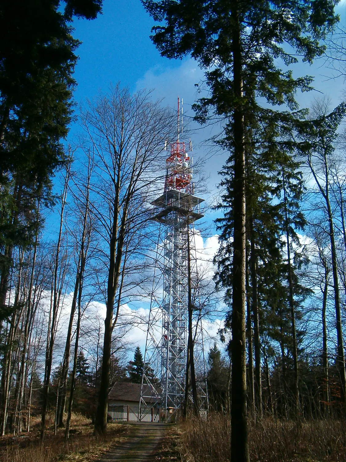 Jarnik