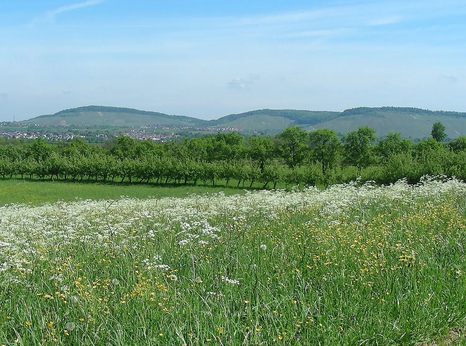 Korber-, Hörnles-, Kleinheppacher Kopf (am Horizont) - panoramio