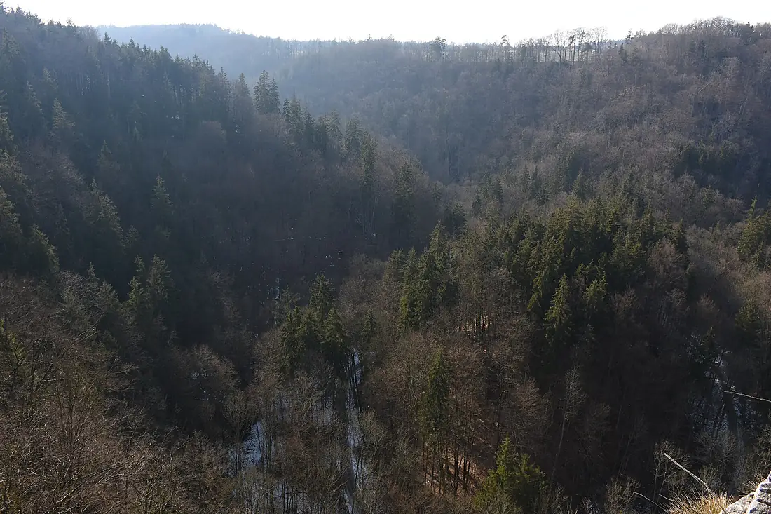 Koňský-spád2018