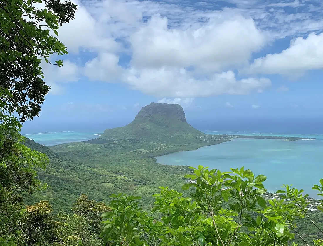 Ebony Forest Chamarel - View of Le Morne 2