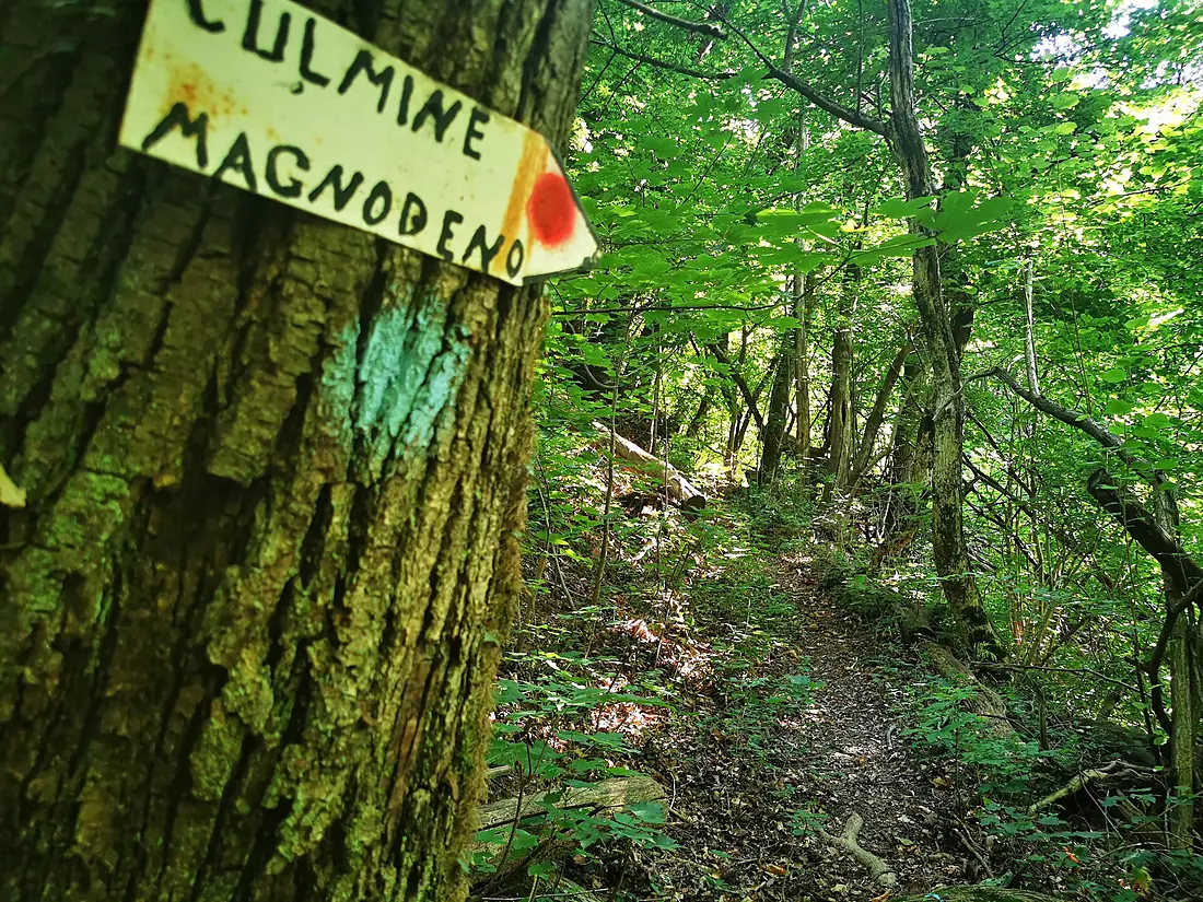 Along unnumbered marked trail between Croce di Vicerola and Culmine del Magnodeno