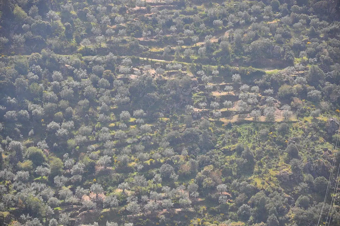 Miradouro Fraga de l Pouio