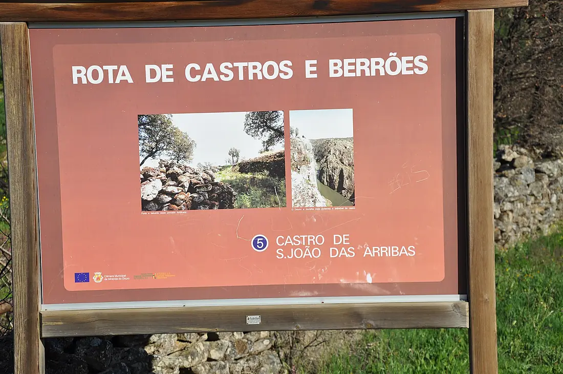 Castro de São João das Arribas