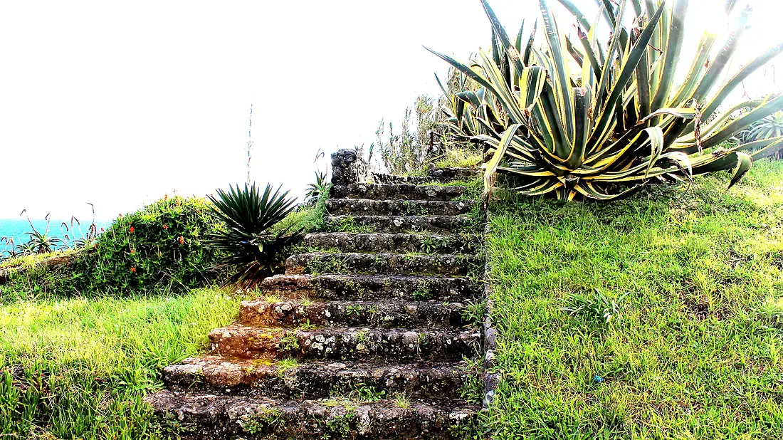 Miradouro do Rosto de Cão - panoramio (1)