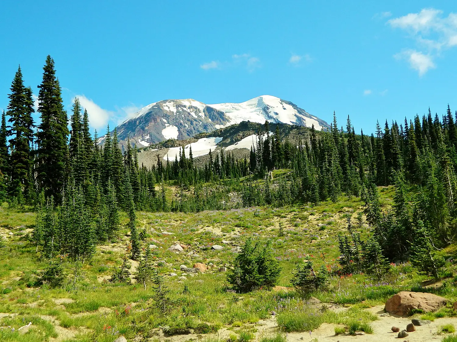 Meadows at Mount Adams Wilderness 03