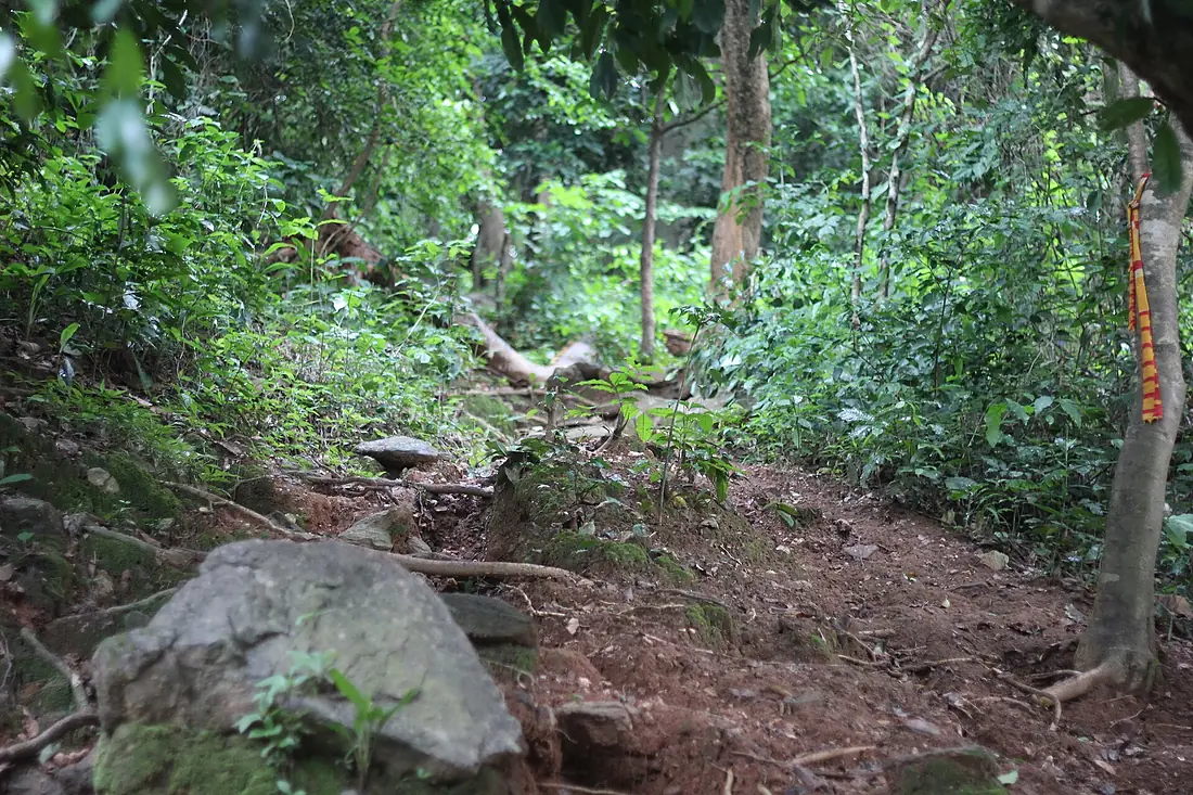 Ascending Afadjato