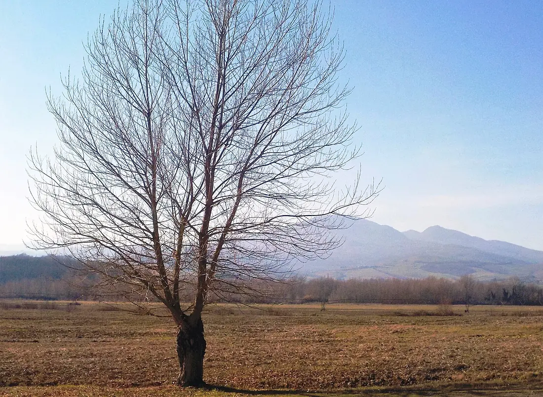 In the spacious valley below Monte Amiata