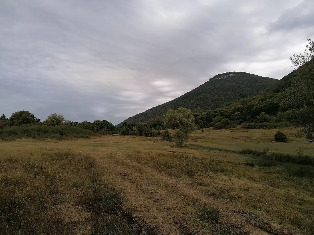 Mali Dajt field