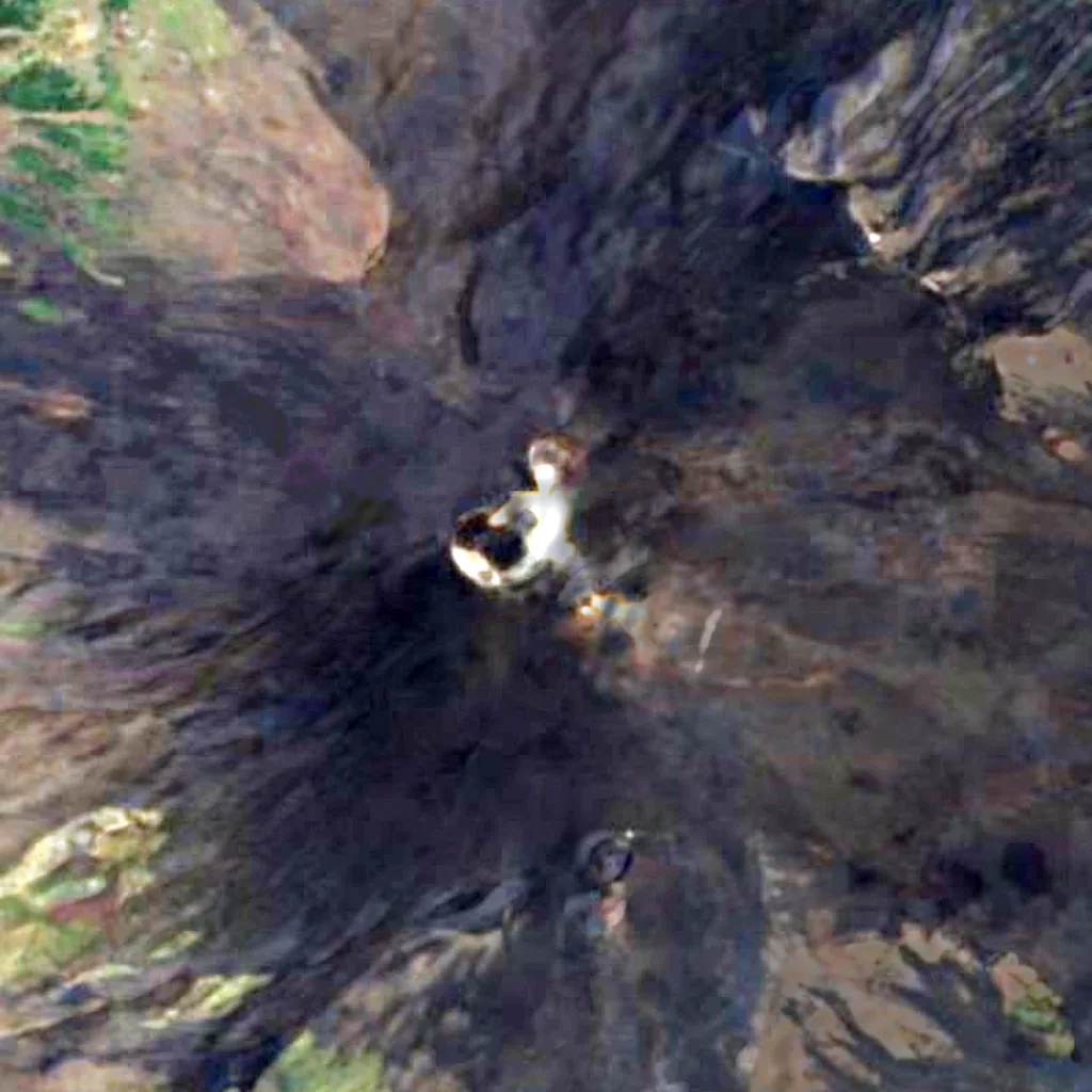 Mount Etna seen from above (Sentinel-2)