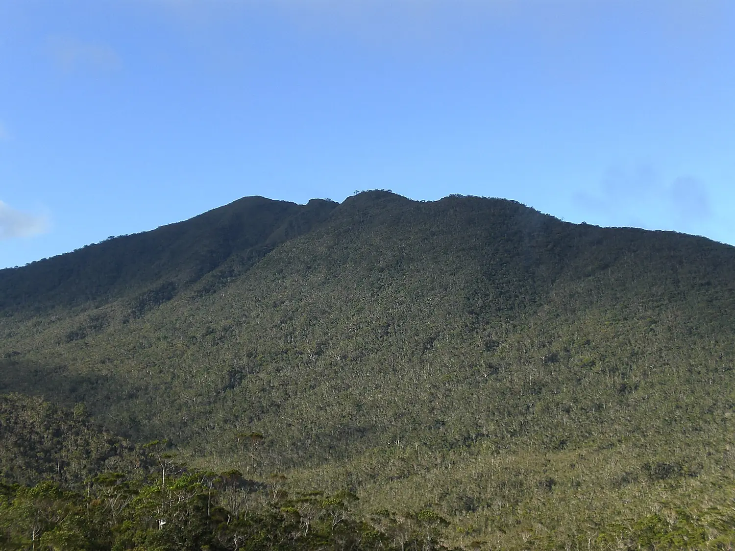 Mount Hamiguitan peak