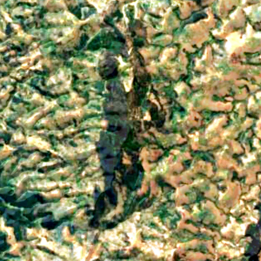 Mount Heha seen from above (Sentinel-2)