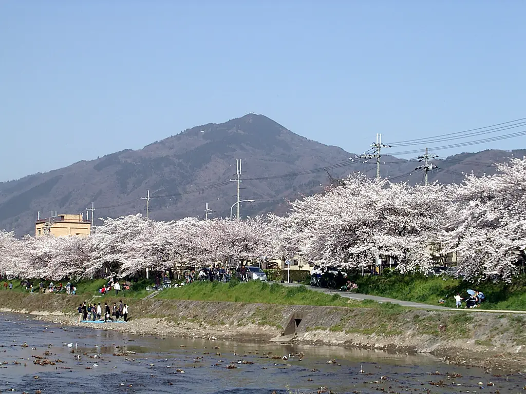 Sakura MtHiei
