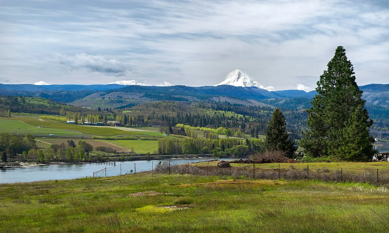 Columbia River and Mt Hood (17116091592)
