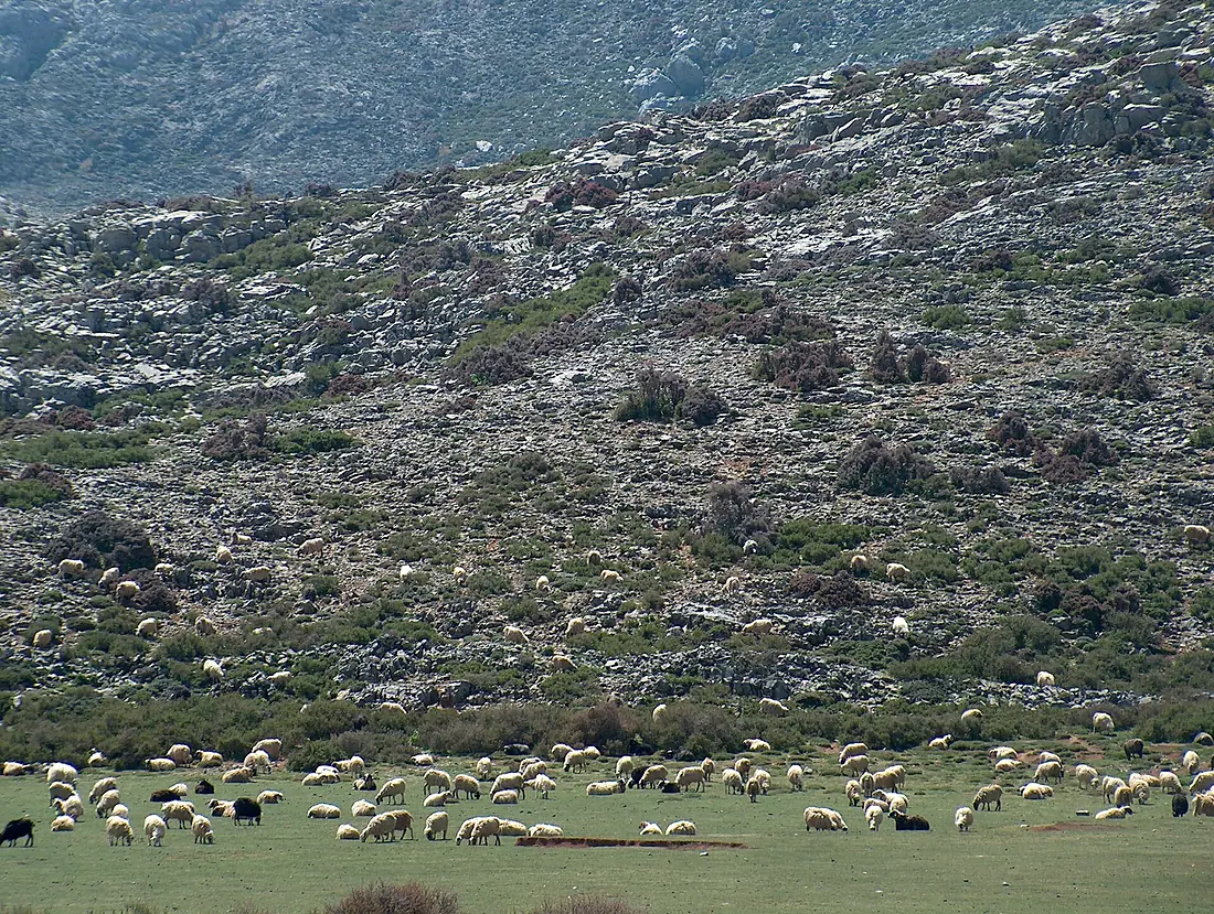 ΙΔΗ ΑΝΩΓΕΙΑ 1