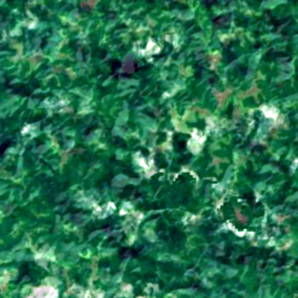 Mount Ngerchelchuus seen from above (Sentinel-2)