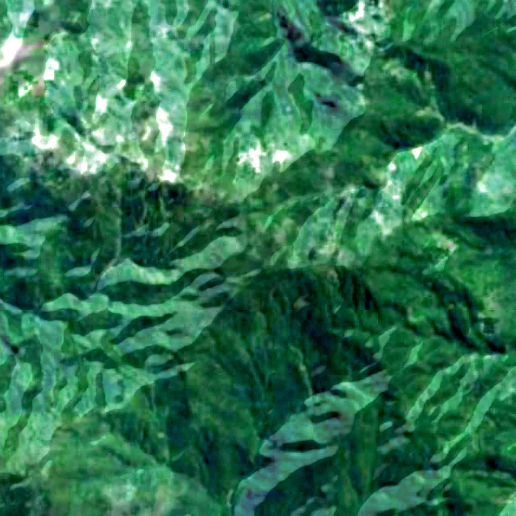 Mount Popomanaseu seen from above (Sentinel-2)