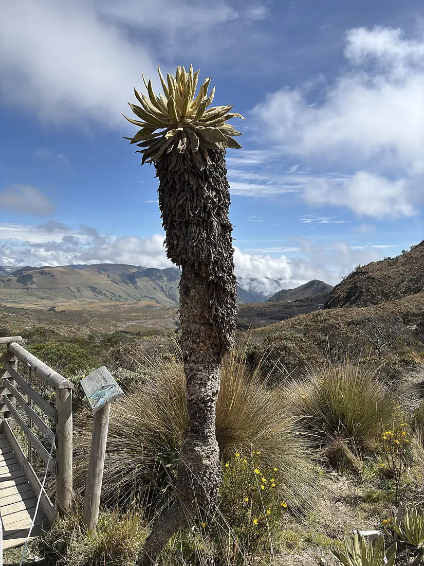 Entrada al Parque Nacional Natural Los Nevados