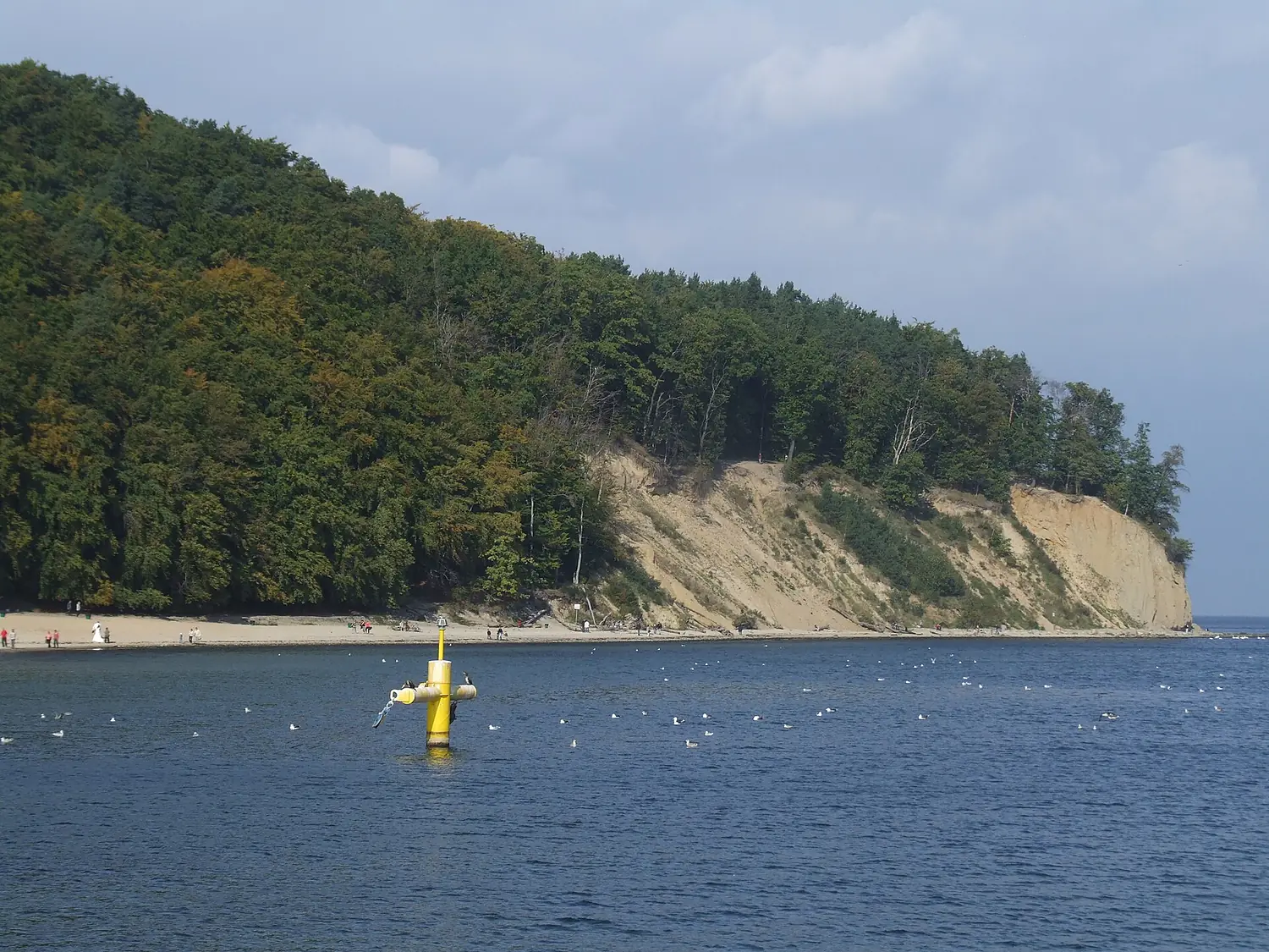 Klif w Gdyni-Orłowie - 132