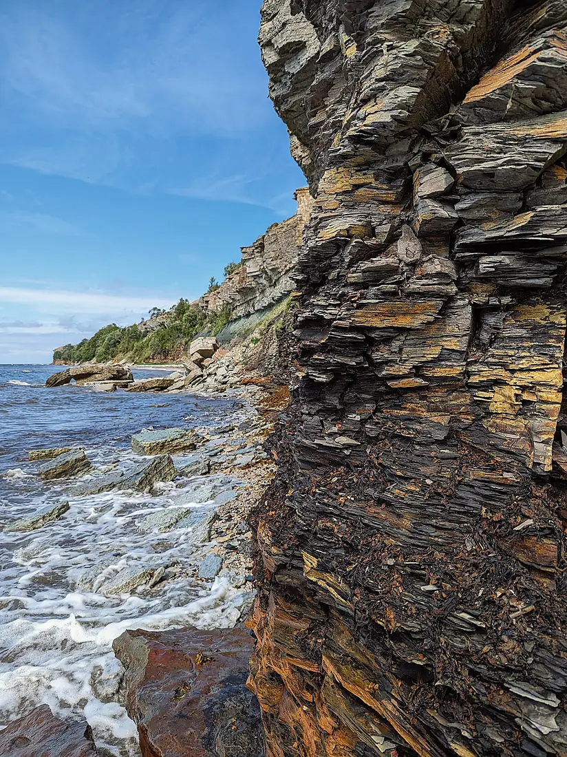 Graptolitic argillite layers on Paldiski cliff