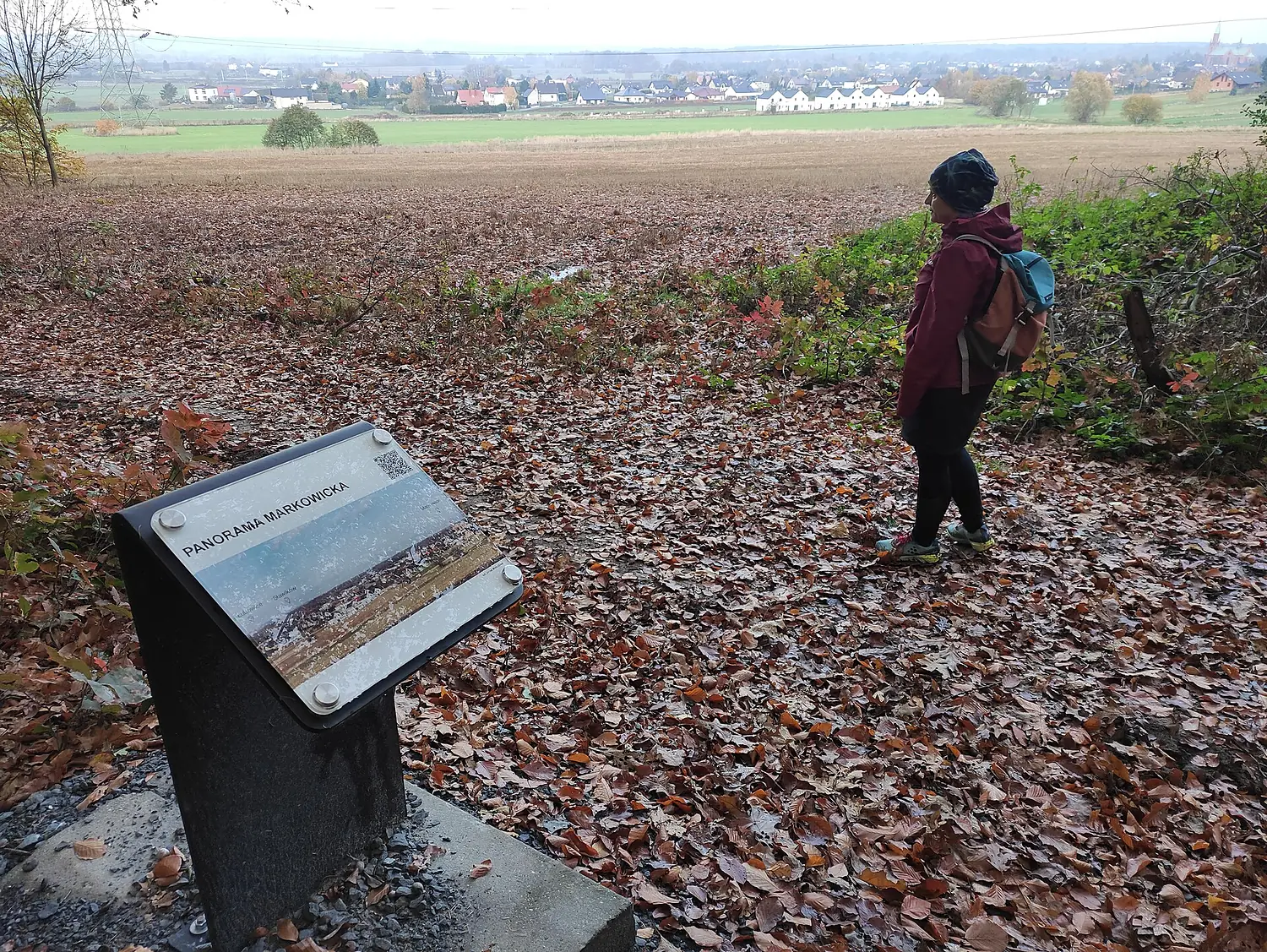 Panorama Markowicka, Arboretum Bramy Morawskiej