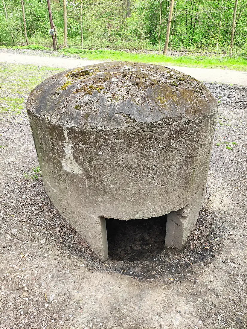 Kochbunker, Arboretum Bramy Morawskiej, Racibórz 01