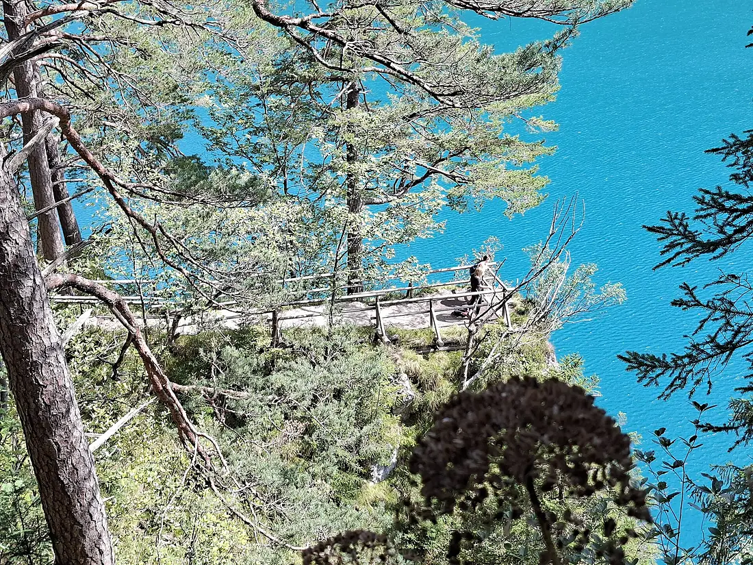 Ostallgaeu-Schwangau-Alpsee-north bank-Viewpoint Pindarplatz-01ASD