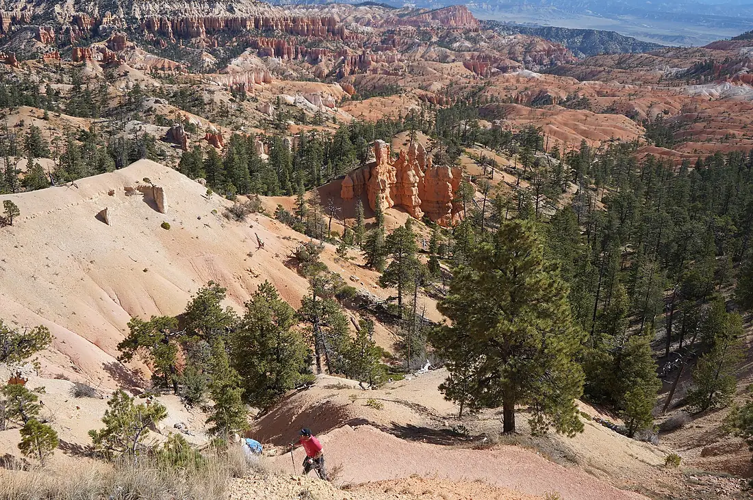 Bryce Canyon en 2016 (5)